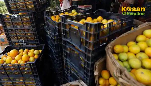 किसान ट्रेन: संतरे, सब्जी किसानों के लिए गडकरी ने विशेष झंडारोहण किया